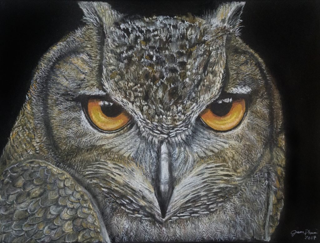 Great Horned Owl